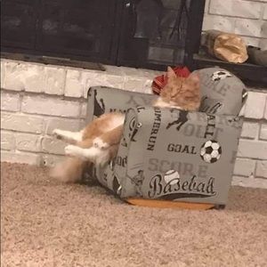 Meet your Posher, Kiralee